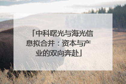 中科曙光与海光信息拟合并：资本与产业的双向奔赴