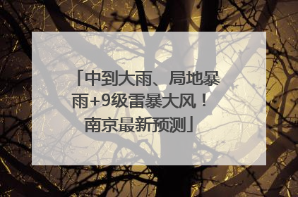 中到大雨、局地暴雨+9级雷暴大风！南京最新预测