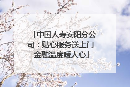 中国人寿安阳分公司：贴心服务送上门 金融温度暖人心