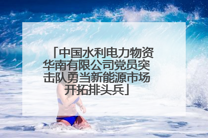 中国水利电力物资华南有限公司党员突击队勇当新能源市场开拓排头兵
