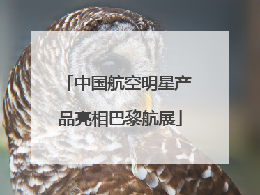中国航空明星产品亮相巴黎航展