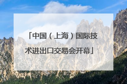 中国（上海）国际技术进出口交易会开幕