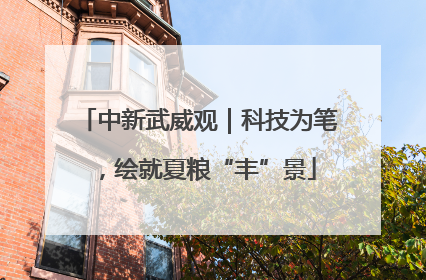 中新武威观｜科技为笔，绘就夏粮“丰”景