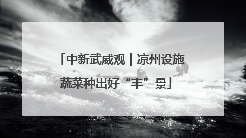 中新武威观｜凉州设施蔬菜种出好“丰”景