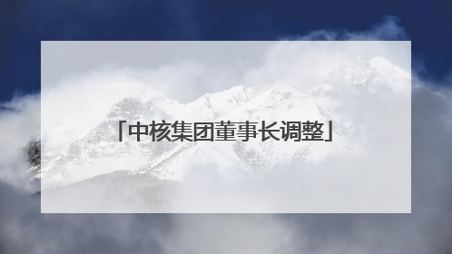 中核集团董事长调整
