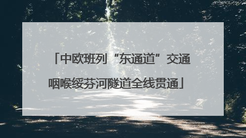 中欧班列“东通道”交通咽喉绥芬河隧道全线贯通