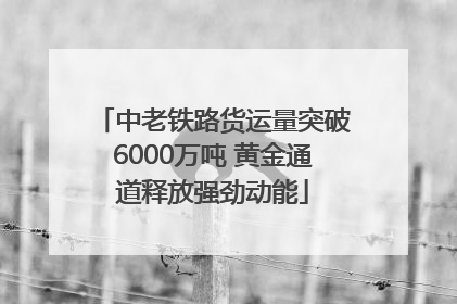 中老铁路货运量突破6000万吨 黄金通道释放强劲动能