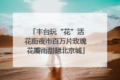 丰台玩“花”活 花街夜市百万片玫瑰花瓣雨甜翻北京城