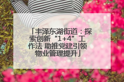 丰泽东湖街道：探索创新“1+4”工作法 助推党建引领物业管理提升