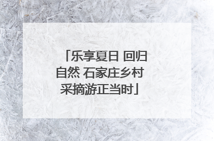 乐享夏日 回归自然 石家庄乡村采摘游正当时