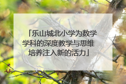 乐山城北小学为数学学科的深度教学与思维培养注入新的活力