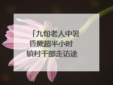 九旬老人中暑昏厥超半小时 镇村干部走访途中发现及时施救｜看见正能量