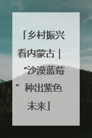 乡村振兴看内蒙古｜“沙漠蓝莓”种出紫色未来