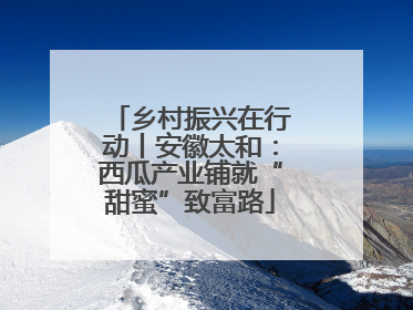 乡村振兴在行动丨安徽太和：西瓜产业铺就“甜蜜”致富路
