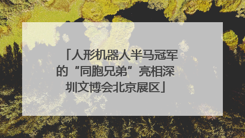 人形机器人半马冠军的“同胞兄弟”亮相深圳文博会北京展区