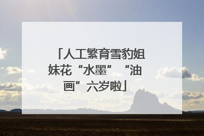 人工繁育雪豹姐妹花“水墨”“油画”六岁啦