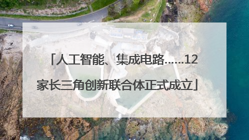 人工智能、集成电路……12家长三角创新联合体正式成立