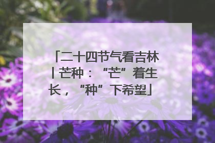 二十四节气看吉林丨芒种：“芒”着生长，“种”下希望