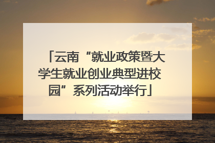 云南“就业政策暨大学生就业创业典型进校园”系列活动举行