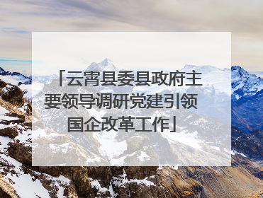 云霄县委县政府主要领导调研党建引领国企改革工作