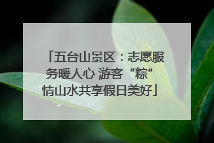 五台山景区：志愿服务暖人心 游客“粽”情山水共享假日美好
