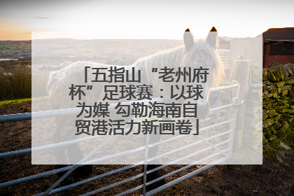 五指山“老州府杯”足球赛：以球为媒 勾勒海南自贸港活力新画卷