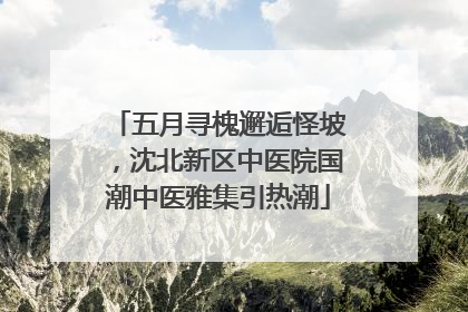 五月寻槐邂逅怪坡，沈北新区中医院国潮中医雅集引热潮