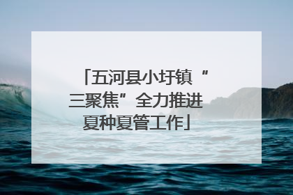 五河县小圩镇“三聚焦”全力推进夏种夏管工作