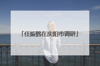 任振鹤在庆阳市调研