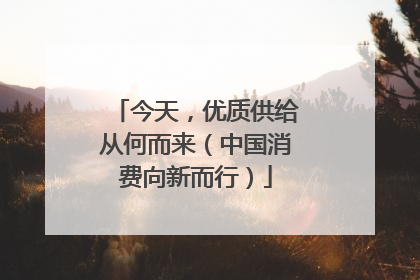 今天，优质供给从何而来（中国消费向新而行）