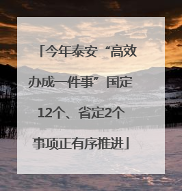 今年泰安“高效办成一件事”国定12个、省定2个事项正有序推进
