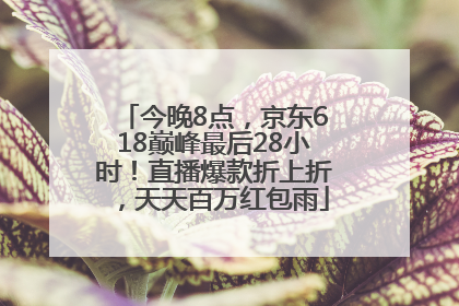 今晚8点，京东618巅峰最后28小时！直播爆款折上折，天天百万红包雨