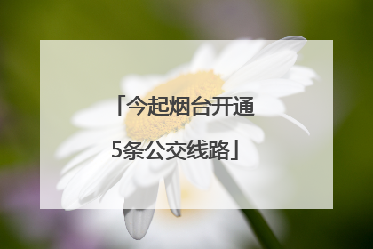 今起烟台开通5条公交线路