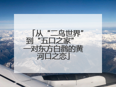 从“二鸟世界”到“五口之家” 一对东方白鹳的黄河口之恋