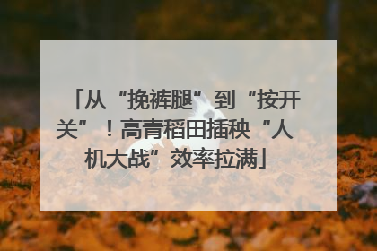 从“挽裤腿”到“按开关”！高青稻田插秧“人机大战”效率拉满