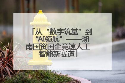 从“数字筑基”到“AI领航”——湖南国资国企竞速人工智能新赛道