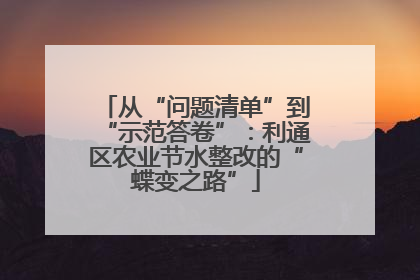 从“问题清单”到“示范答卷”：利通区农业节水整改的“蝶变之路”