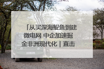 从买深海鳀鱼到建微电网 中企加速掘金非洲现代化｜直击中非经贸博览会