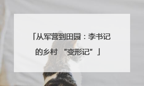 从军营到田园：李书记的乡村 “变形记”