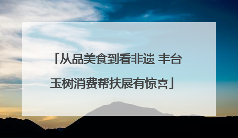 从品美食到看非遗 丰台玉树消费帮扶展有惊喜