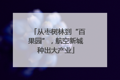 从枣树林到“百果园”，航空新城种出大产业