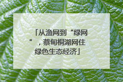 从渔网到“绿网”，蔡甸桐湖网住绿色生态经济