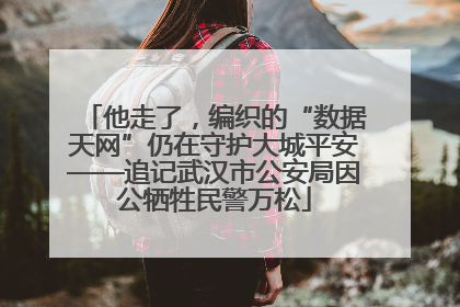 他走了，编织的“数据天网”仍在守护大城平安——追记武汉市公安局因公牺牲民警万松