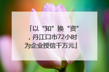 以“知”换“资”，丹江口市72小时为企业授信千万元