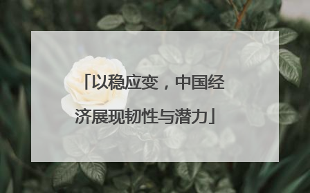 以稳应变，中国经济展现韧性与潜力