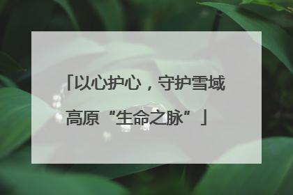 以心护心，守护雪域高原“生命之脉”