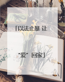 以法止暴 让“爱”回家