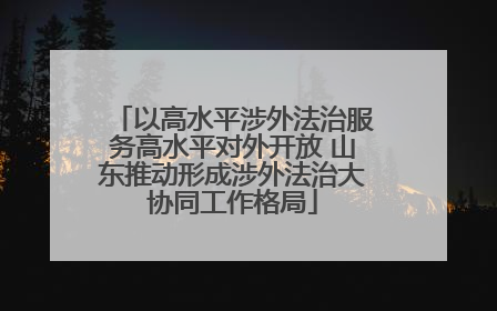 以高水平涉外法治服务高水平对外开放 山东推动形成涉外法治大协同工作格局
