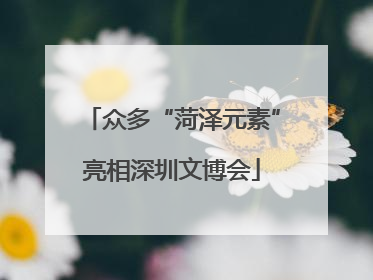 众多“菏泽元素”亮相深圳文博会
