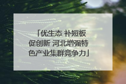 优生态 补短板 促创新 河北增强特色产业集群竞争力